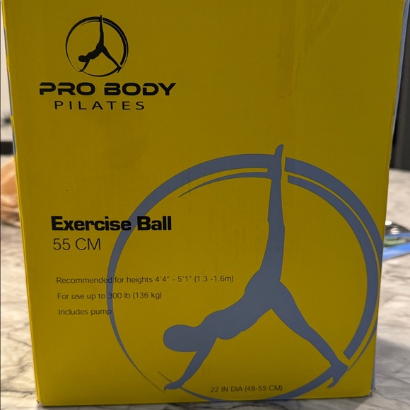 Gray Exercise Ball - Picture 4 of 4